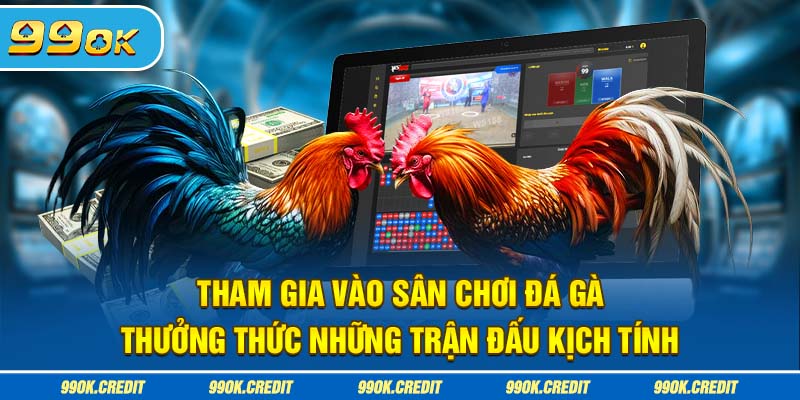 Tham gia vào sân chơi đá gà thưởng thức những trận đấu kịch tính