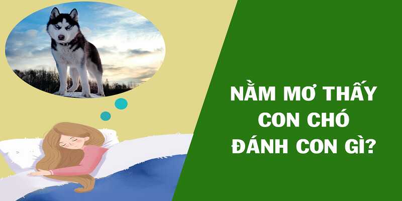 Con số nên nuôi khung khi nằm mơ thấy chó