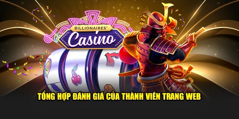 Tổng hợp đánh giá của thành viên trang web